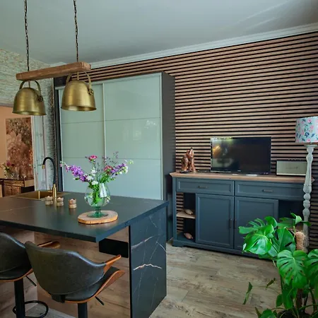 U Sowy * غدينيا